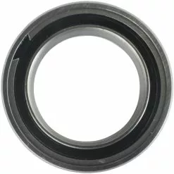 Enduro Bearings ABEC5 61803 SRS Bearing