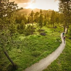 Ergon SMC Women's Sport Gel Saddle -Vitus Verkäufe Ergon SMC Womens Sport Gel Saddle 06